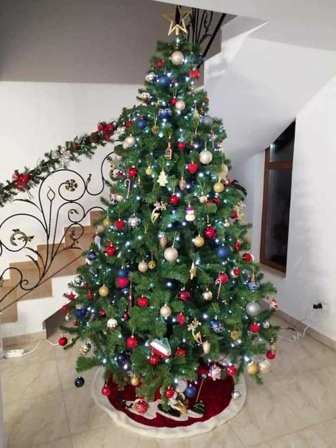 La Casa Alana Hotel Viseu de Jos Buitenkant foto