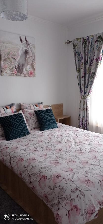 La Casa Alana Hotel Viseu de Jos Buitenkant foto